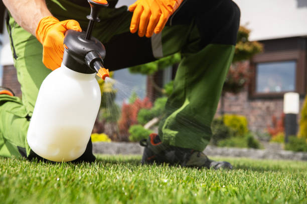 Reliable Shrewsbury, MO Pest Control Solutions